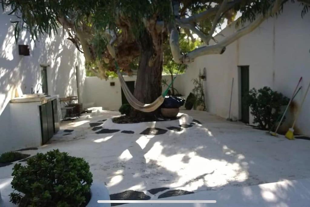 Lovely Studio In Original Finca La Asomada  Eksteriør billede